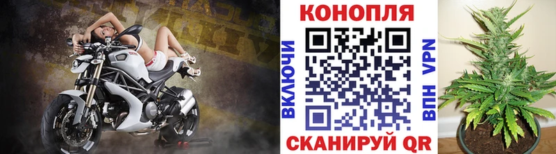 МАРИХУАНА план  Никольское 